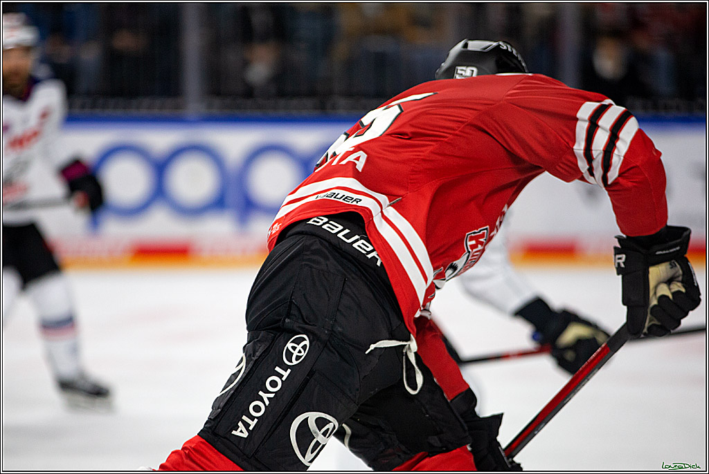PENNY DEL; Koelner Haie- Nuernberger Ice Tigers; Koeln, 18.11.2022